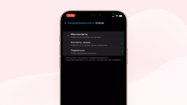
                    Статусы в WhatsApp заменят сторис в Нельзяграм? Обзор известной не многим функции, которая помогает увеличить продажи            