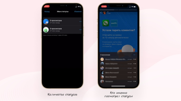 
                    Статусы в WhatsApp заменят сторис в Нельзяграм? Обзор известной не многим функции, которая помогает увеличить продажи            