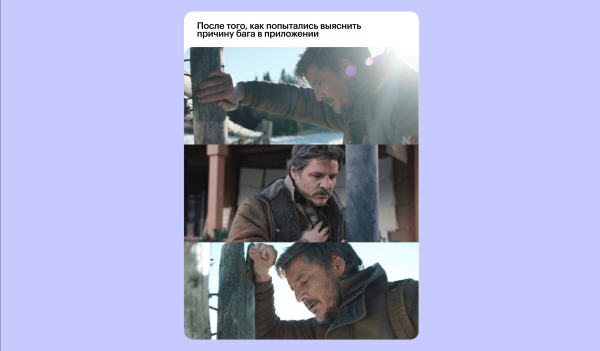 
                    CX-ПРОСВЕТ: как обходятся с клиентами в «Золотом Яблоке»            