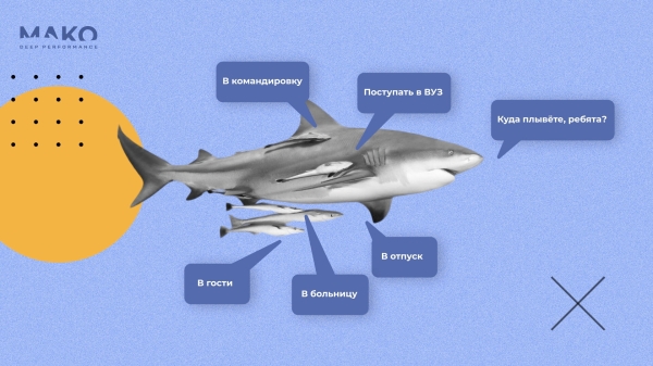 Как мы обхитрили автоматические стратегии Яндекса и заставили их приводить больше заявок за меньшие деньги             
                    Как мы обхитрили автоматические стратегии Яндекса и заставили их приводить больше заявок за меньшие деньги