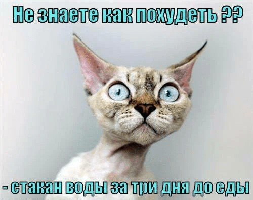 
                    Кейс: запуск фитнес курса с выручкой $17 000 за месяц на холодную аудиторию с помощью таргета            