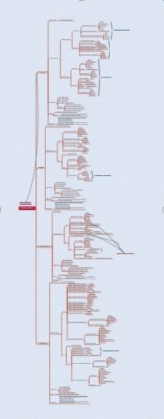
                    Кейс по стоматологии. Как вырасти пятикратно с 1.500.000 руб до 8.500.000 руб            
