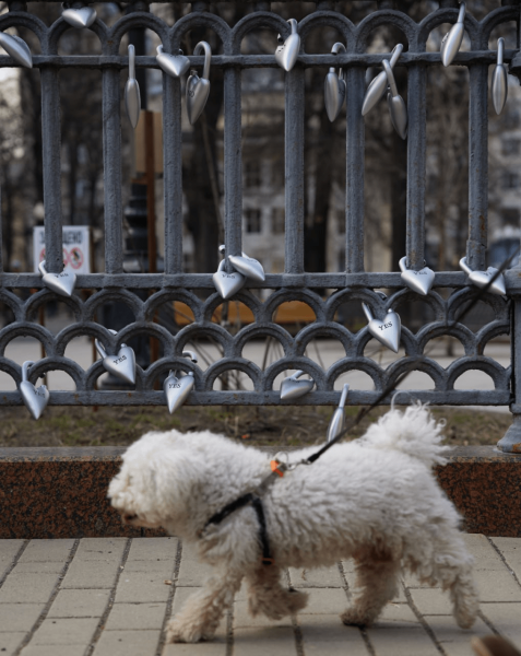 От домашней мастерской к глянцу и ЦУМу: успех бренда AVGVST. Взгляд со стороны
От домашней мастерской к глянцу и ЦУМу: успех бренда AVGVST. Взгляд со стороны
