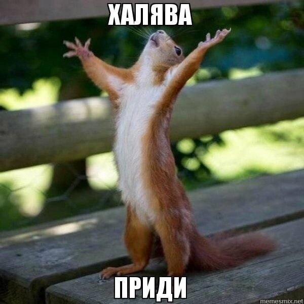 
                    Как с помощью таргетированной рекламы продать всю новую коллекцию в шоурумах?            