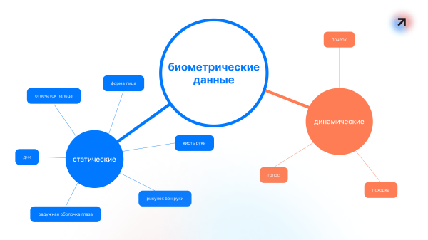 
                    4 колонны благополучия            