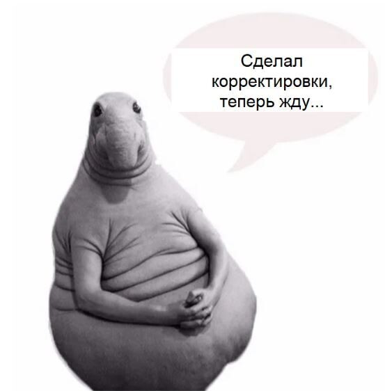 Вставай, Наташа, Яндекс все уронил! Или что делать, если Директ перестал приносить заявки?             
                    Вставай, Наташа, Яндекс все уронил! Или что делать, если Директ перестал приносить заявки?