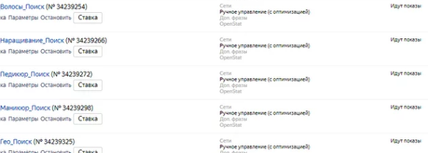 
                    Кейс по продвижению салона красоты в Яндекс.Директ            