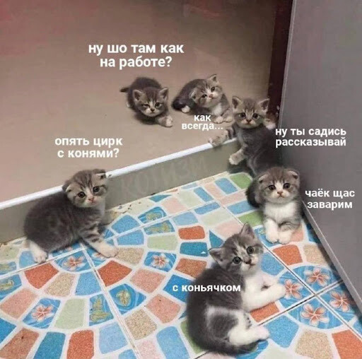 Удивительные истории из жизни digital-агентств
Удивительные истории из жизни digital-агентств