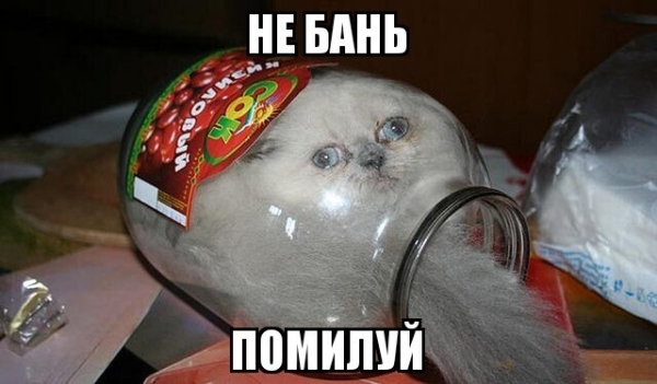 
                    20 причин получить бан на стратегии оплаты за конверсии в Яндекс Директ            