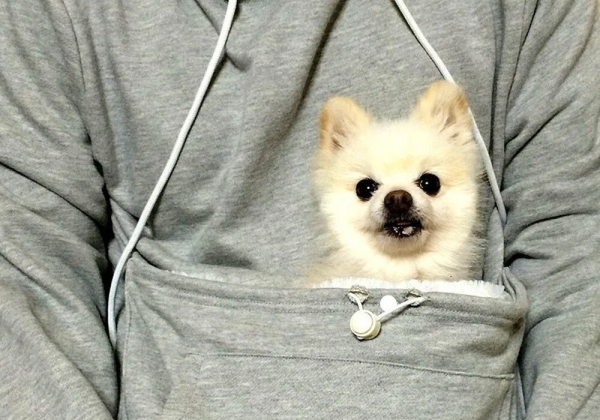 Вещи на грани безумия: рассказываем про самый необычный и дикий мерч
Вещи на грани безумия: рассказываем про самый необычный и дикий мерч