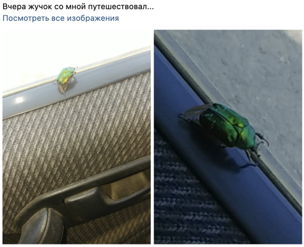 Мемы, конкурсы и хейт: как в Dostavista развивали комьюнити курьеров
Мемы, конкурсы и хейт: как в Dostavista развивали комьюнити курьеров