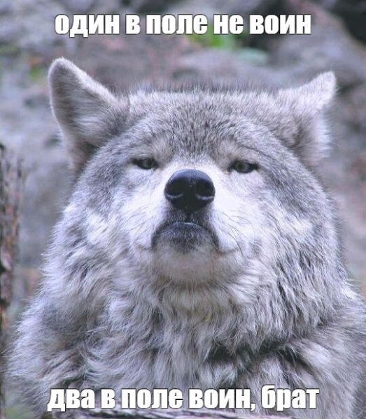 Бесплатный сыр только в мышеловке: нет бюджетов — нет пиара             
                    Бесплатный сыр только в мышеловке: нет бюджетов — нет пиара