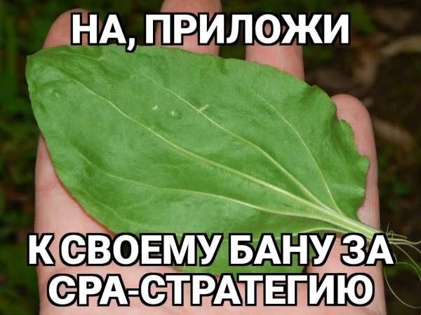 
                    20 причин получить бан на стратегии оплаты за конверсии в Яндекс Директ            