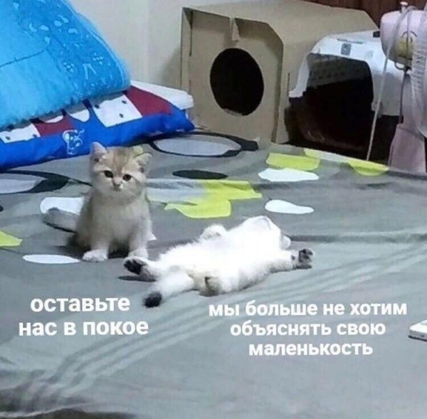 Бесплатный сыр только в мышеловке: нет бюджетов — нет пиара             
                    Бесплатный сыр только в мышеловке: нет бюджетов — нет пиара