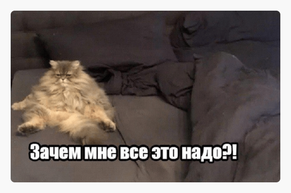 
                    Почему сайт медицинского центра не решает проблемы пациентов            