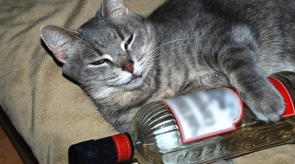 
                    "МАРКЕТОЛОГИ - ВОЗДУХАНЫ" - история, заставившая рыдать миллионы. РАСПРОСТРАНИТЕ!            