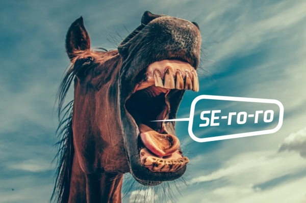 Хватит сливать бюджеты: как понять, что SEO-подрядчик не вывозит?
Хватит сливать бюджеты: как понять, что SEO-подрядчик не вывозит?