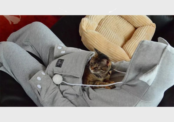 Вещи на грани безумия: рассказываем про самый необычный и дикий мерч
Вещи на грани безумия: рассказываем про самый необычный и дикий мерч