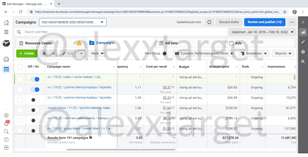 
                    Кейс: продвижение школы ботанической акварели Spirtus Art. Окупили рекламу в 5 раз            