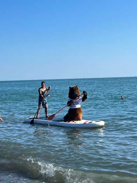 Капибары захватили Россию: как Тинькофф приглашает айтишников на соревнования по спортивному хакингу             
                    Капибары захватили Россию: как Тинькофф приглашает айтишников на соревнования по спортивному хакингу