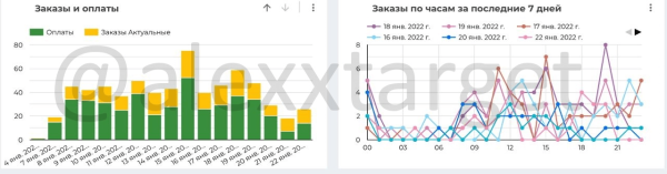 
                    Кейс: продвижение школы ботанической акварели Spirtus Art. Окупили рекламу в 5 раз            