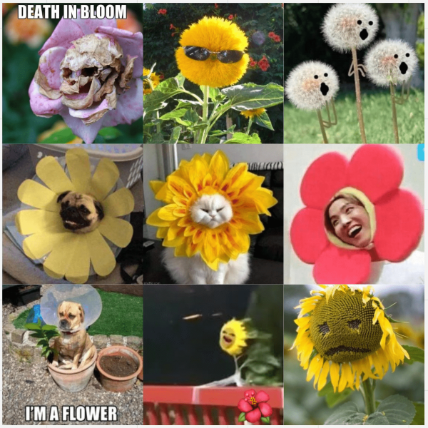 Огненная командная ретроспектива с обратной связью каждому
Огненная командная ретроспектива с обратной связью каждому