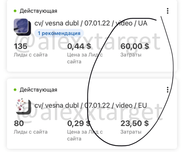 
                    Кейс: продвижение школы ботанической акварели Spirtus Art. Окупили рекламу в 5 раз            