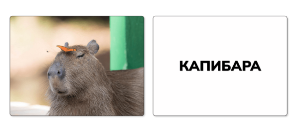 
                    Картинки в креативе собирают охваты, а ты нет            