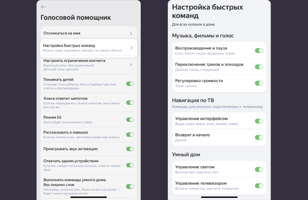 Алиса научилась понимать команды без обращения к ней по имени