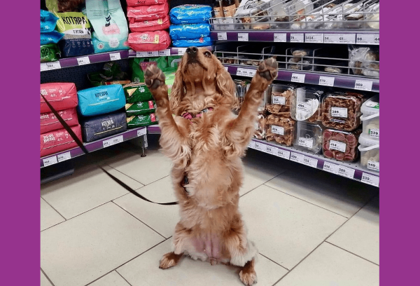 
                    Почему товарные кампании — лучший рекламный инструмент для продвижения ecommerce в 2023 году            