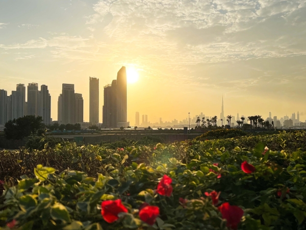 Два года в Дубае или "Иншалла маркетинг"
Два года в Дубае или "Иншалла маркетинг"