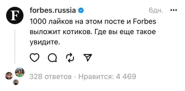 Расследование года: как быстро стать популярным в Threads* и стоит ли пытаться?
Расследование года: как быстро стать популярным в Threads* и стоит ли пытаться?