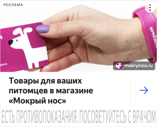 Как сеть зоомагазинов «Мокрый нос» развивала онлайн-продажи: прошла пандемию и 2022-й. Кейс длиной в 6 лет             
                    Как сеть зоомагазинов «Мокрый нос» развивала онлайн-продажи: прошла пандемию и 2022-й. Кейс длиной в 6 лет