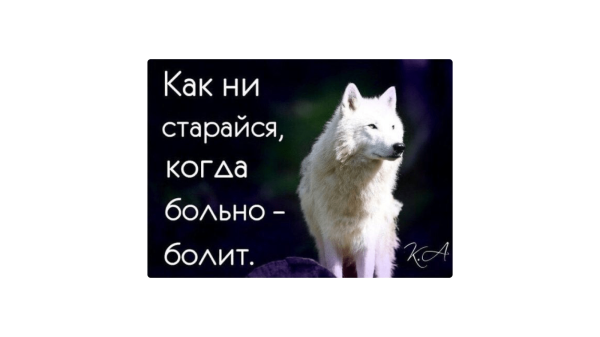 
                    Как выжить в мире СМИ и опубликовать статью: инструкция для компаний            