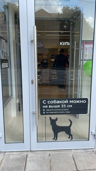 Анастасия Панина, СMO Магнолия: коллеги, а вы сами смотрели бы презентации на 30 слайдов?             
                    Анастасия Панина, СMO Магнолия: коллеги, а вы сами смотрели бы презентации на 30 слайдов?