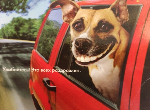 Мем зашёл: какие мемы любят и цитируют
Мем зашёл: какие мемы любят и цитируют