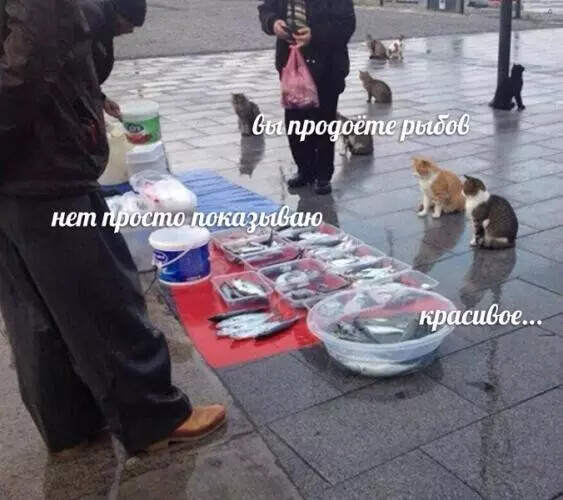 Мем зашёл: какие мемы любят и цитируют
Мем зашёл: какие мемы любят и цитируют