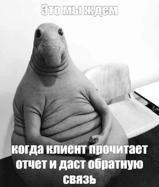 Почему мы пишем отчеты каждую неделю?
Почему мы пишем отчеты каждую неделю?