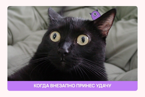 
                    Как нейрокотики и грамотный маркетинг помогли школе таро заработать 26 000 000 рублей за 9 месяцев            