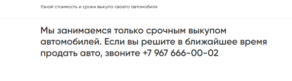 
                    Гайд по созданию квиза для b2b            