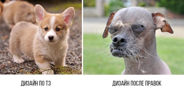 Внятное ТЗ: 10 советов как не надо делать
Внятное ТЗ: 10 советов как не надо делать