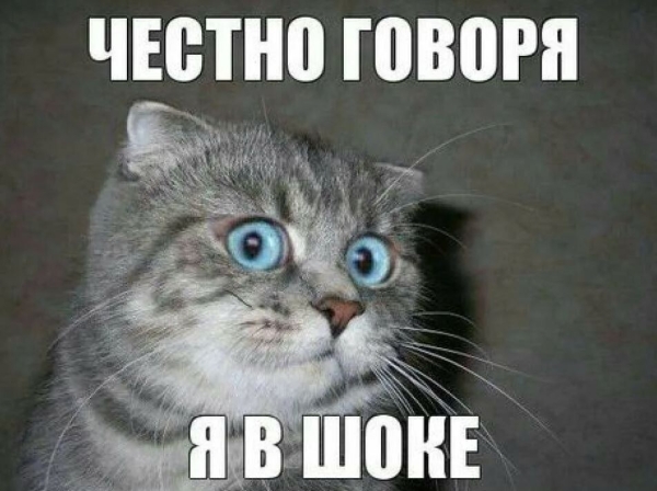 5 стадий принятия или как мы снизили стоимость обращения в нише трубопроводной арматуры с Директа в 3,5 раза
5 стадий принятия или как мы снизили стоимость обращения в нише трубопроводной арматуры с Директа в 3,5 раза