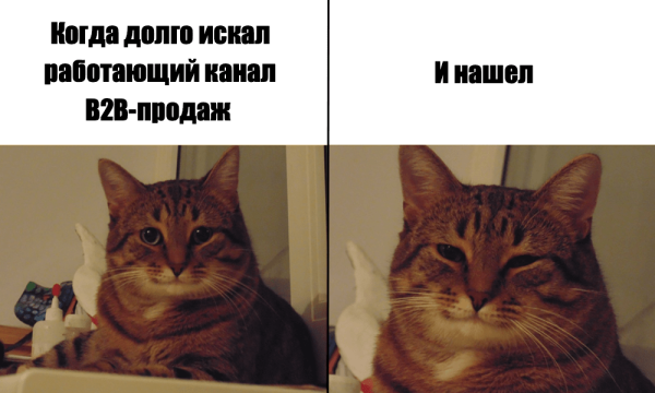 
                    Тоже думаете, что конверсия 10% с холодных рассылок в B2B-продажах  — это что-то нереальное? Держите кейс с 13,6%            