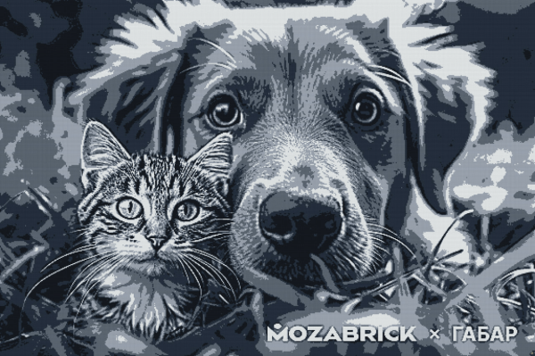 
                    Как мы установили рекорд России, собрав самый большой конструктор из 221 тысячи кубиков            