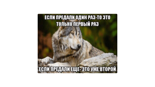 
                    Как выжить в мире СМИ и опубликовать статью: инструкция для компаний            