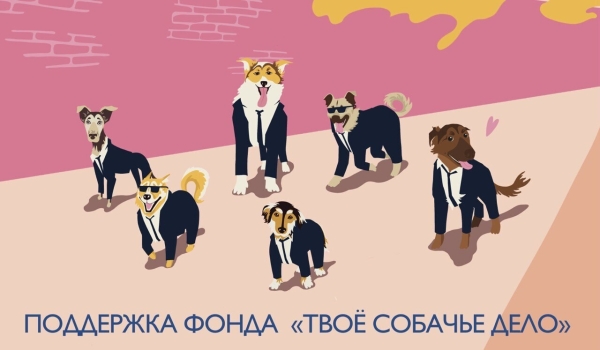 
                    Твое собачье дело: рассказать об ответственном отношении к животным так, чтобы услышали            