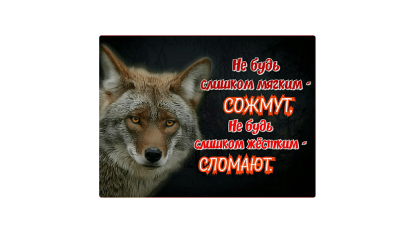 
                    Как выжить в мире СМИ и опубликовать статью: инструкция для компаний            