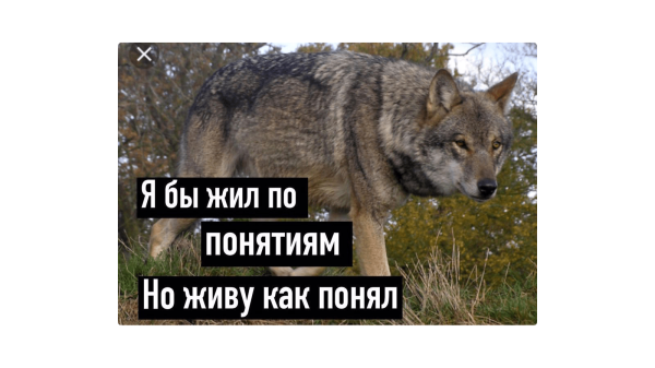 
                    Как выжить в мире СМИ и опубликовать статью: инструкция для компаний            