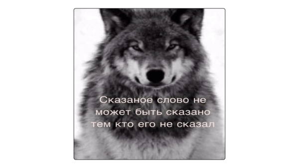 
                    Как выжить в мире СМИ и опубликовать статью: инструкция для компаний            