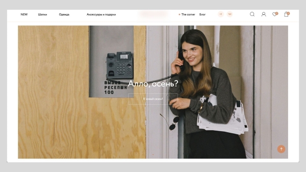 
                    Ненавязчивый контекст для магазина одежды: как вывести ДРР на 25% и не надоедать            